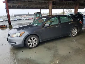2010 HONDA ACCORD