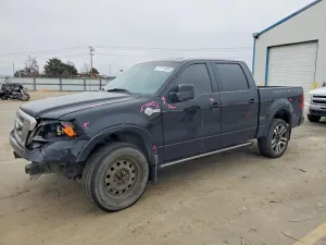 2007 FORD F-150