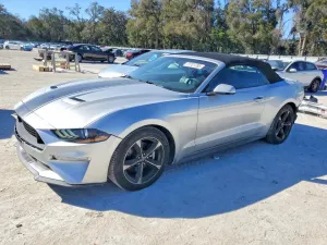 2019 FORD ALL Models