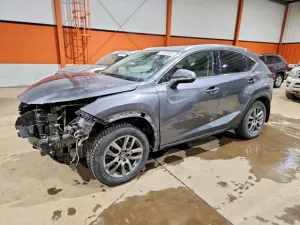 2019 LEXUS NX