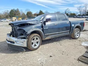 2010 DODGE All Models