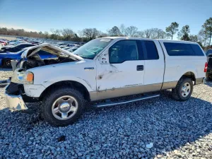 2006 FORD All Models