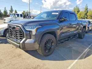 2025 TOYOTA TUNDRA