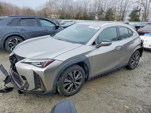 2019 LEXUS UX 250H F