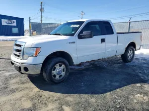 2014 FORD All Models