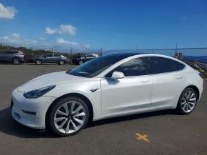 2019 TESLA MODEL 3