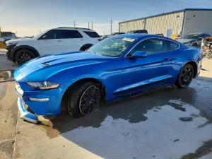 2019 FORD ALL Models