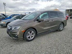 2019 HONDA All Models