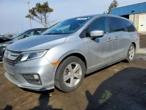 2019 HONDA All Models