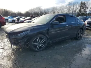 2013 HONDA ACCORD