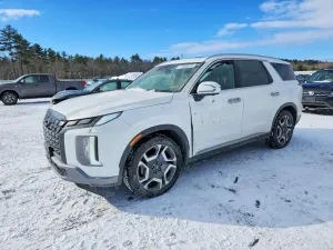 2023 HYUNDAI PALISADE
