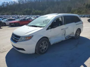 2013 HONDA All Models