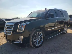 2019 CADILLAC ESCALADE