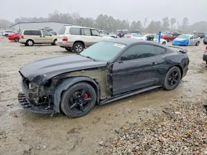 2017 FORD ALL Models