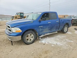 2010 DODGE All Models