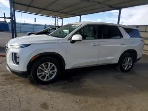 2020 HYUNDAI PALISADE