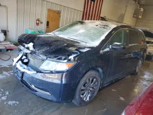 2016 HONDA All Models