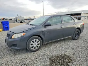2010 TOYOTA COROLLA