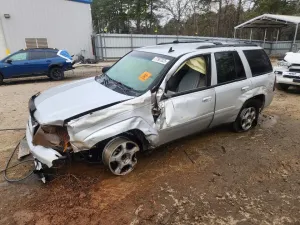 2009 CHEVROLET TRAILBLZR
