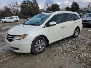 2016 HONDA All Models