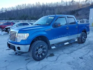 2010 FORD F-150