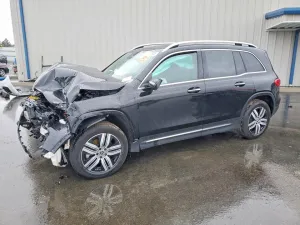 2024 MERCEDES-BENZ EQB 250+