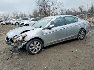 2010 HONDA ACCORD
