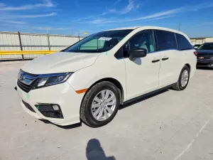 2019 HONDA All Models