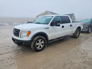 2010 FORD F-150
