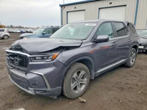 2024 HONDA PILOT