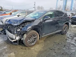 2024 LEXUS NX 350 BAS