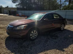 2010 HONDA ACCORD