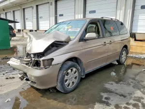 2004 HONDA All Models