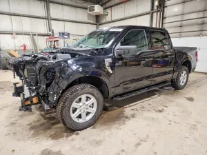 2025 FORD All Models