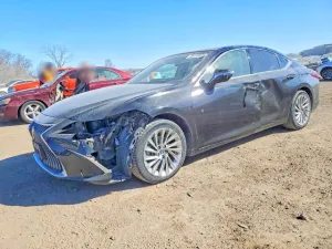 2019 LEXUS ES350