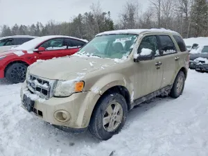 2011 FORD ESCAPE