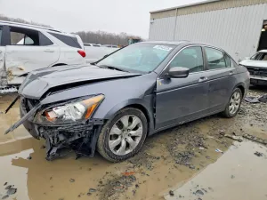 2010 HONDA ACCORD