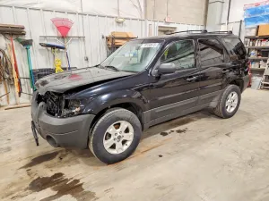 2007 FORD ESCAPE