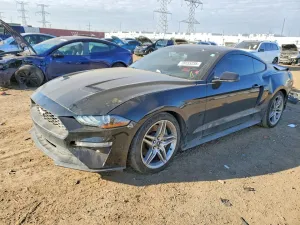 2019 FORD ALL Models