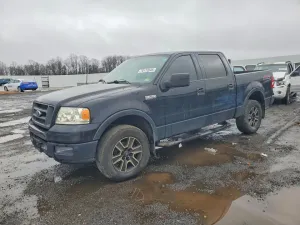 2004 FORD F-150