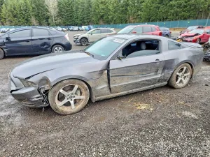 2013 FORD ALL Models