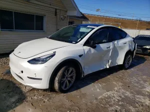 2020 TESLA MODEL Y