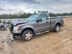 2013 FORD All Models