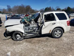 2010 FORD ESCAPE
