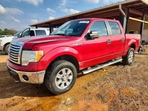 2010 FORD F-150