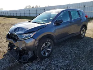 2019 HONDA CRV