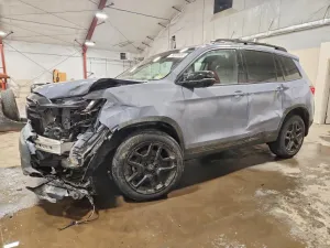 2025 HONDA PASSPORT B