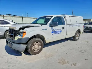 2010 FORD F150