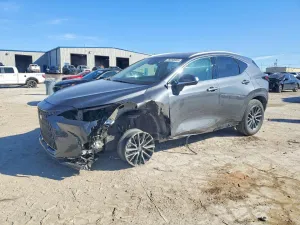 2025 LEXUS NX 250 BAS