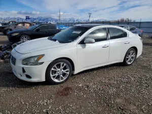 2012 NISS MAXIMA